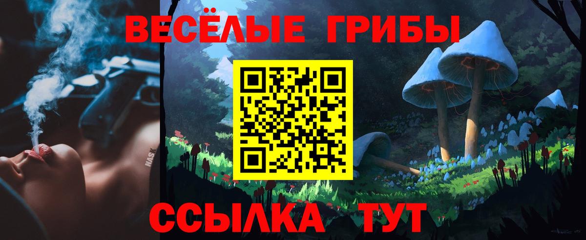 наркота  Вход с VPN  Королёв  Галлюциногенные грибы ЛСД  Псилоцибиновые грибы GOLDEN TEACHER 