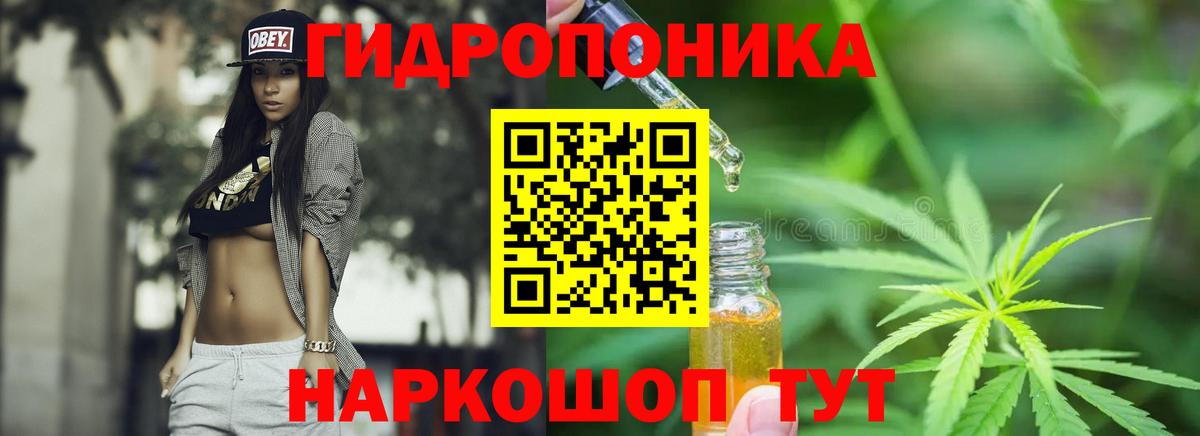 Королёв  МАРИХУАНА индика  Вход с VPN  МАРИХУАНА конопля  Канабис план 